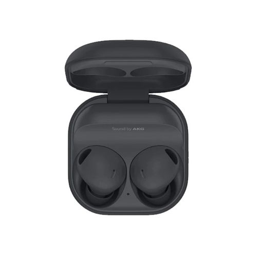 Samsung Galaxy Buds 2 Pro , Graphite